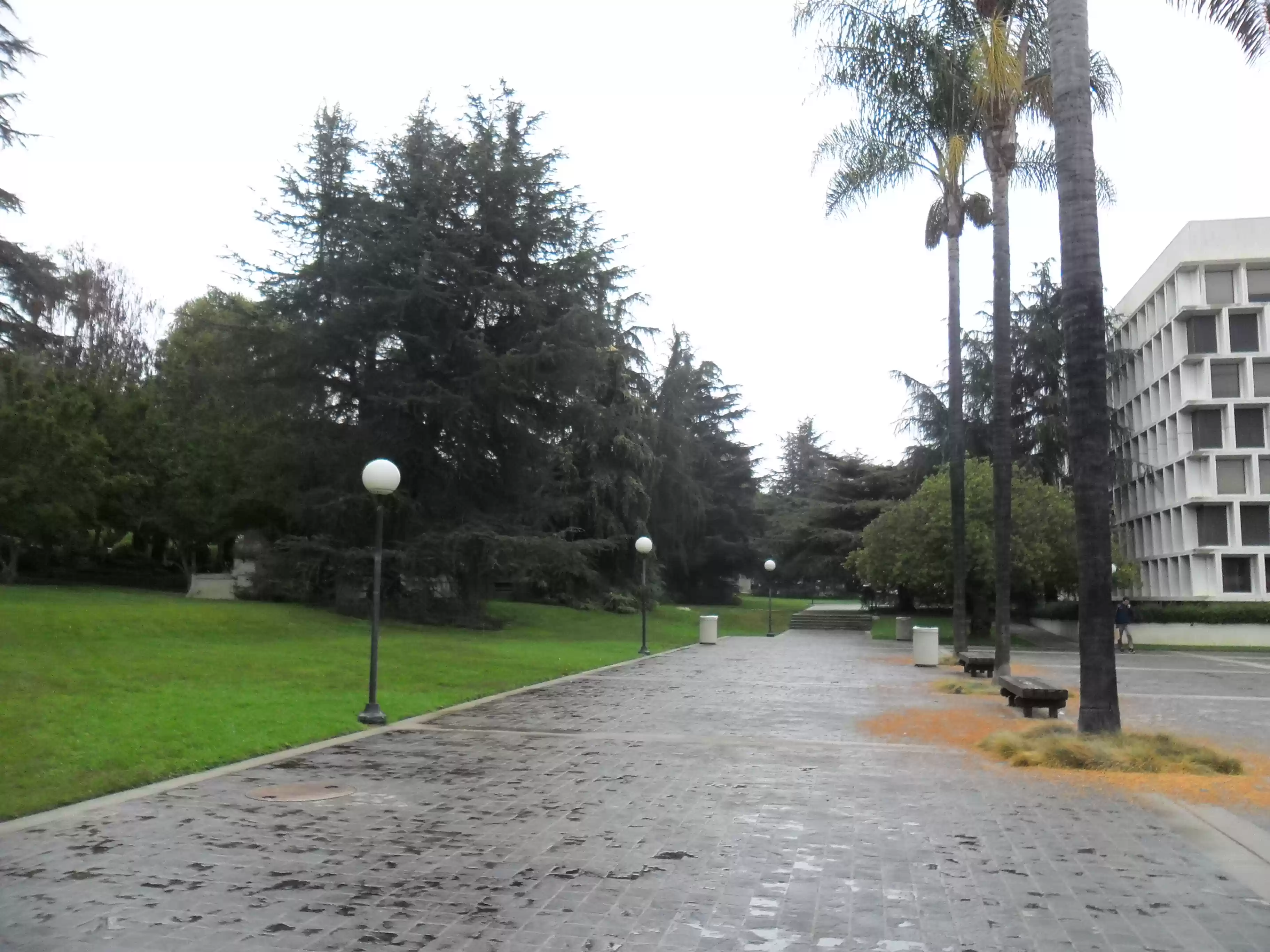 SAM_0876